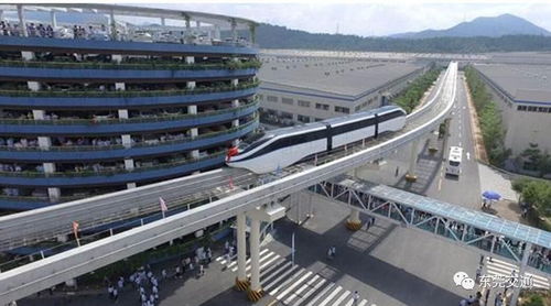 東莞引進多國科技治堵，無人駕駛與新型交通設施引領未來出行