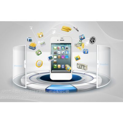 汕頭網(wǎng)站建設(shè)與設(shè)計專家 打造誠信通旺鋪，賦能企業(yè)數(shù)字化發(fā)展